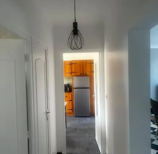 Maison 3 Chambres, 2 Sdb Avec Jardin Connerre